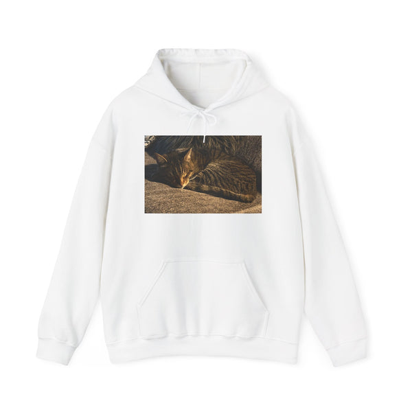 Custom Cat Hoodie | Personalize your Sweatshirt