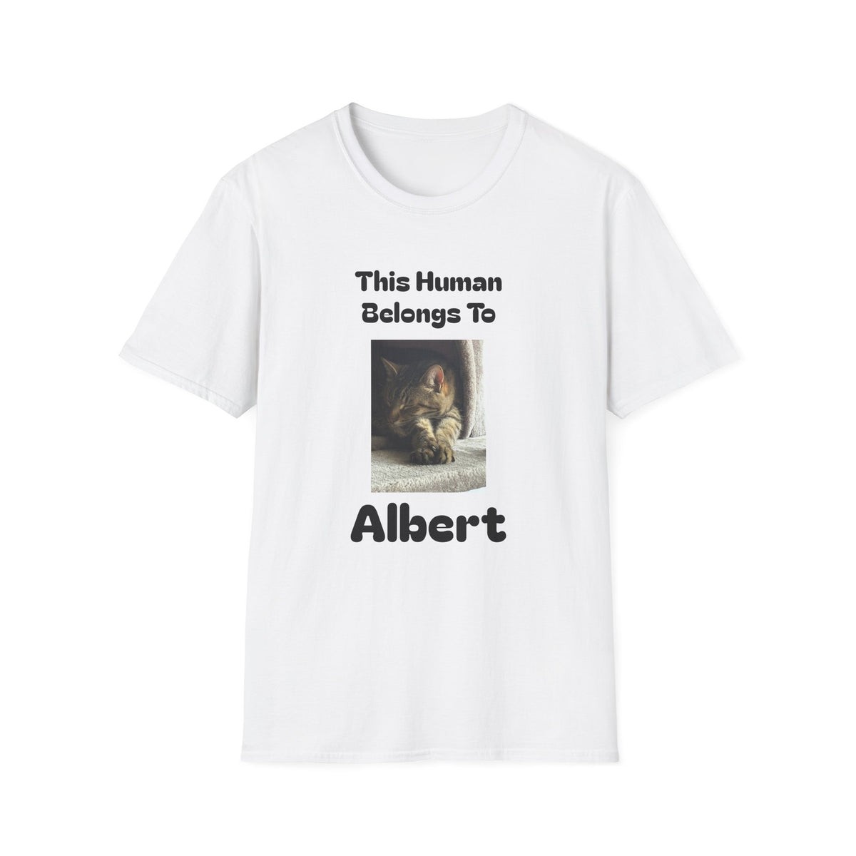 Unisex Softstyle T-Shirt
